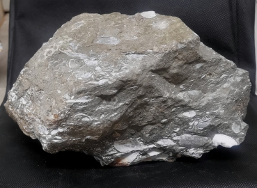 Fossilienkalk
